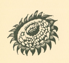 woodcut