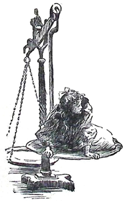 image007