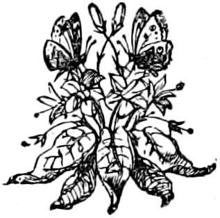 [Fleuron]