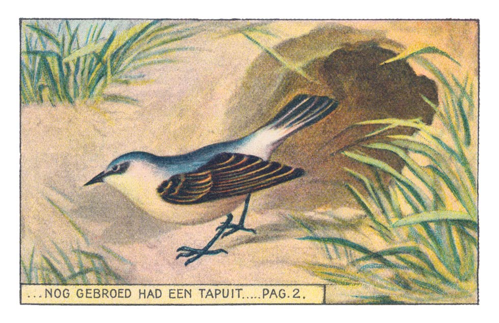 ...NOG GEBROED HAD EEN TAPUIT....PAG. 2.