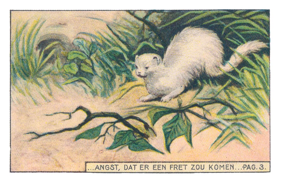 ...ANGST, DAT ER EEN FRET ZOU KOMEN... PAG. 3.