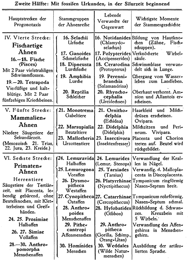 Tabelle