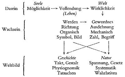 Schema