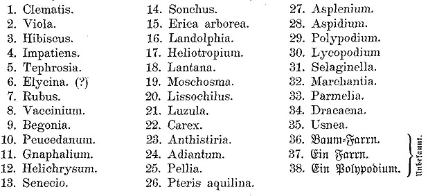 tabelle