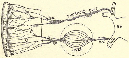 Illustration: