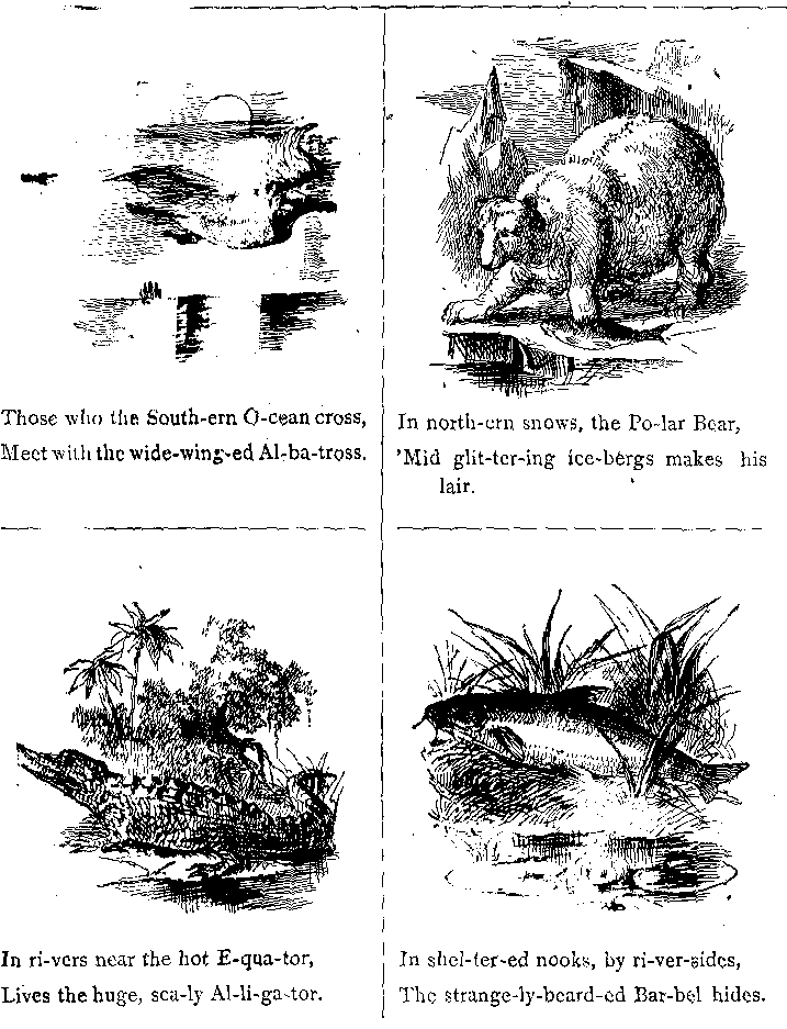 Those Who the South-ern O-cean Cross, Meet With the Wide-wing-ed Al-ba-tross. 