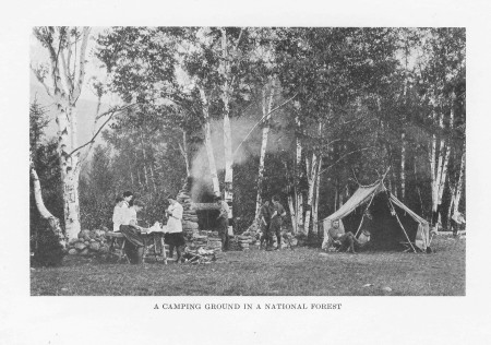 A Camping Ground in a National Forest