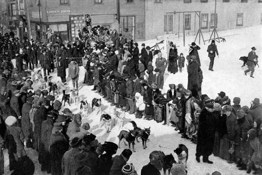 The Start of an Alaskan Dog Team Race