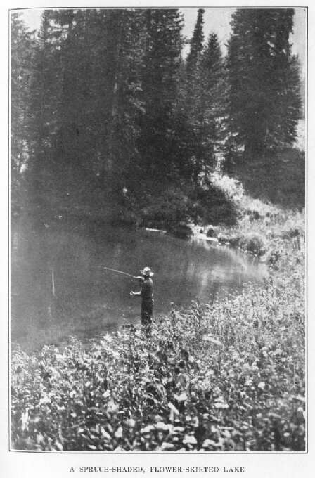 A Spruce-shaded, Flower-skirted Lake 