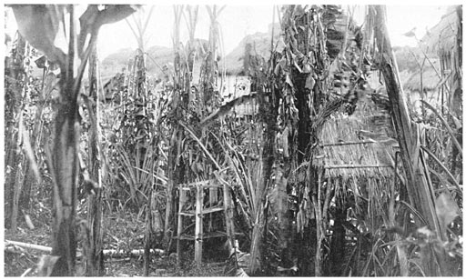 Spirit Houses in a Garden.