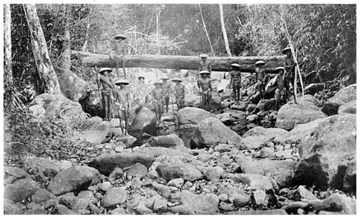 Hunting Party on Mt. Posoey.