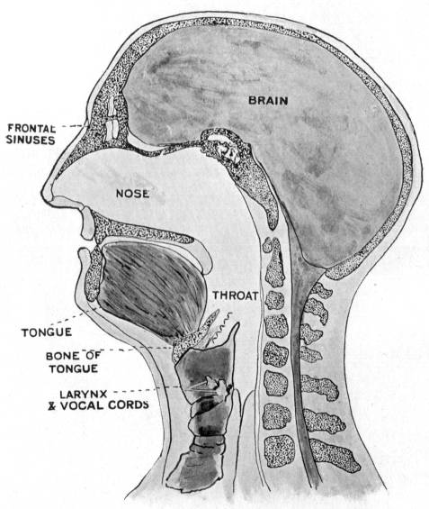 Fig. 12