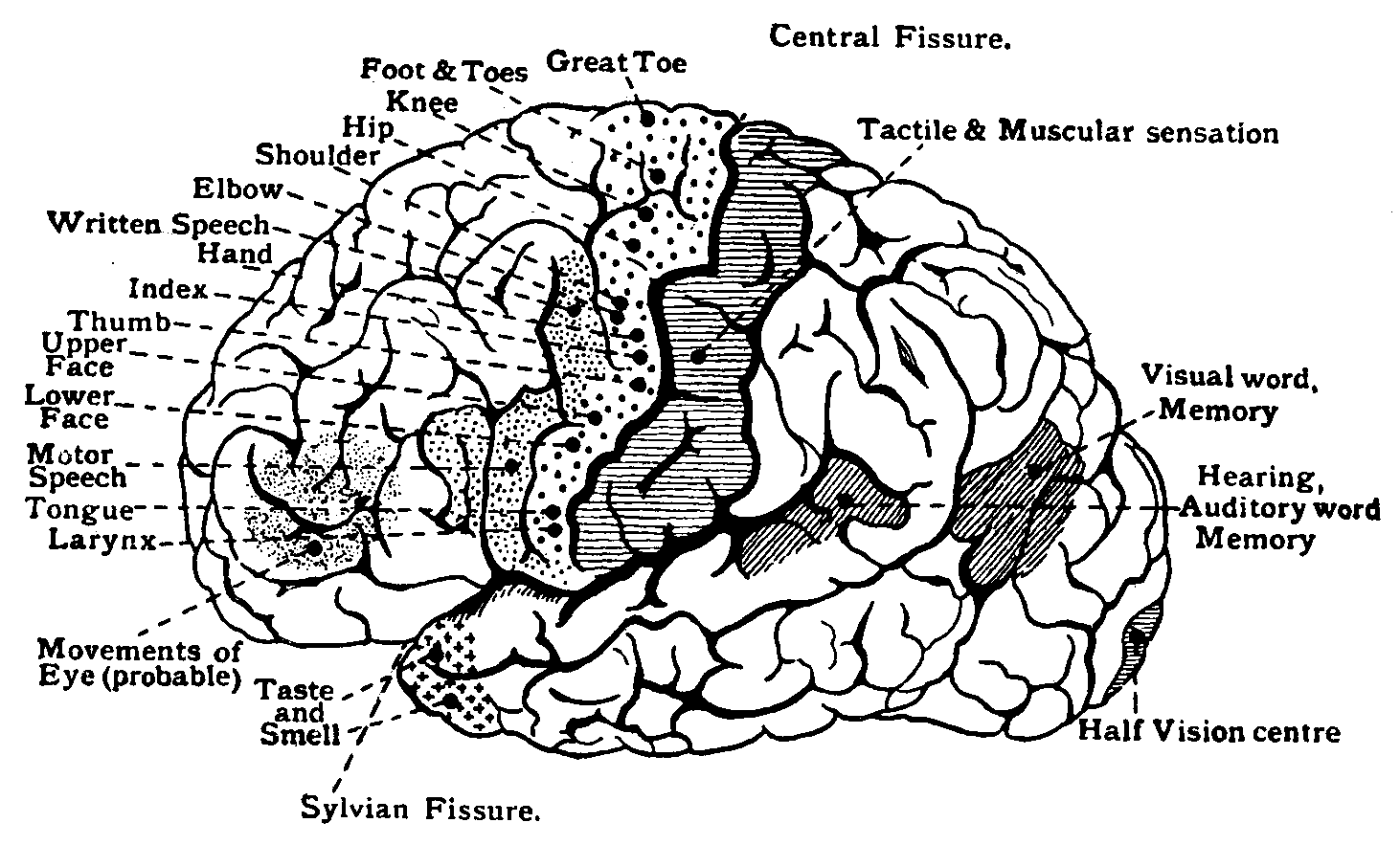 Fig. 16