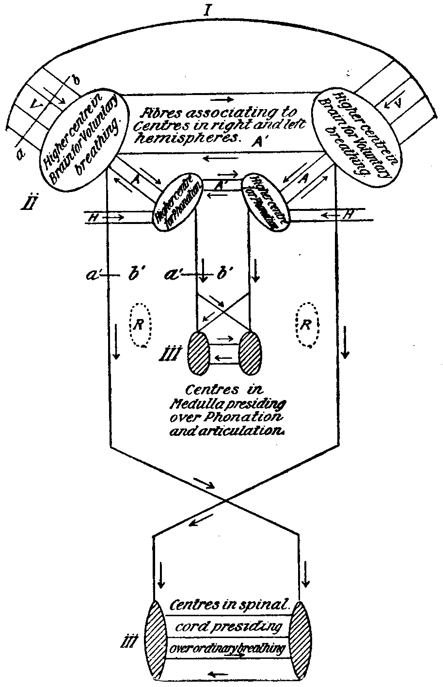 Fig. 18