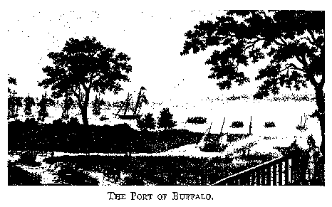 THE PORT OF BUFFALO.