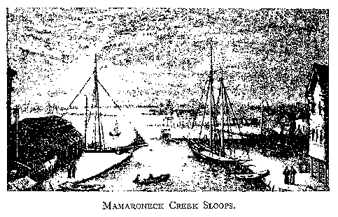 MAMARONECK CREEK SLOOPS.