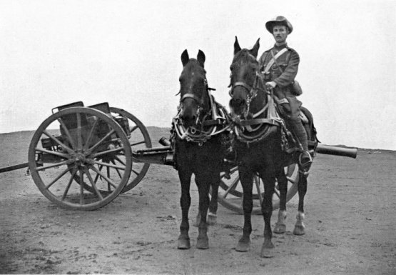 The author, we presume, with two horses and a gun.