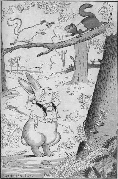 PETER RABBIT, WHO HAPPENED ALONG JUST THEN, PUT HIS HANDS OVER HIS EARS.