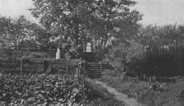 THE UPPER TERRACES OF MR. STOCKTON'S GARDEN AT CLAYMONT.