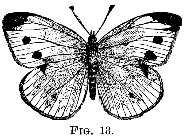 FIG. 13.