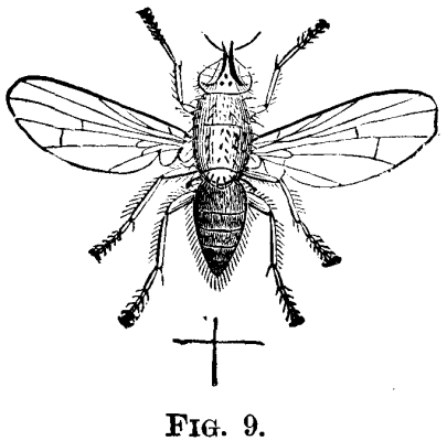 FIG. 9.