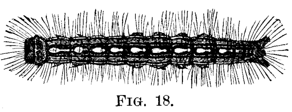 FIG. 18.