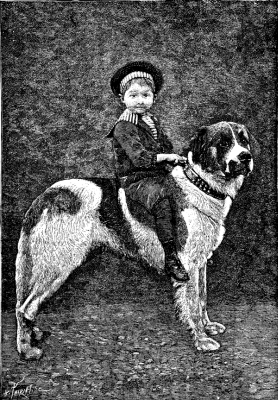 FIG.1--LARGE ST. BERNARD DOG BELONGING TO MR. LEONARD.