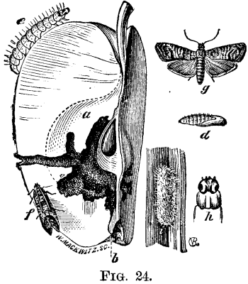 FIG. 24.