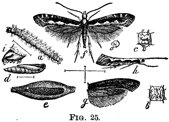 FIG. 25.