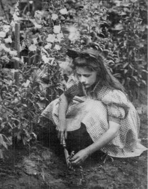 Photograph by Helen W. Cooke  Katherine Transplanting Her Flowers by a Method of Lifting.