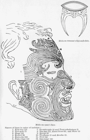 Moko on woman's lips and chin. Moko on man's face.  Names of lines in order of incision— 1. Kau-wae (13) 2. Pere-pehi (7) 3. Hupe (15) 4. Ko-kiri (9) 5. Koro-aha (10) 6. Puta-ringa (12) 7. Po-ngia-ngia (4) and Tara-whakatara (5) 8. Pae-pae (11), Kumi-kumi (6), and Wero (8) 9. Rerepi (3) 10. Ti-whana (1) and Rawha (2) 11. Ti-ti (14) 12. Ipu-rangi (16)