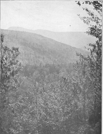 A Distant View of Slide Mountain The Highest of the Catskills (page 155) 