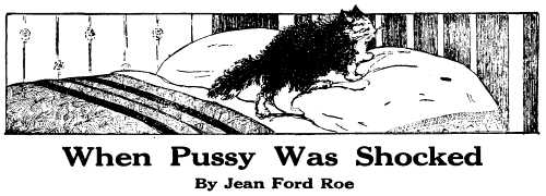 When Pussy Was Shocked By Jean Ford Roe