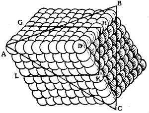 {paralleloid arrangement of spheroids with planes of potential cleavage}