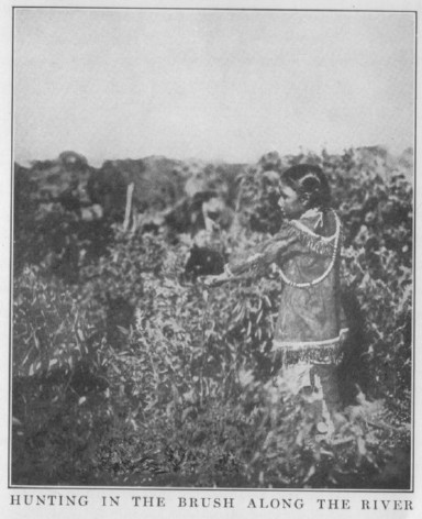 Hunting in the Brush Along The River