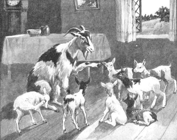 Goat and Kids