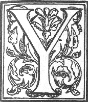 Y