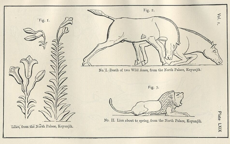 Plate 69 