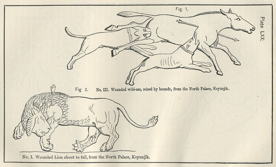 Plate 70 