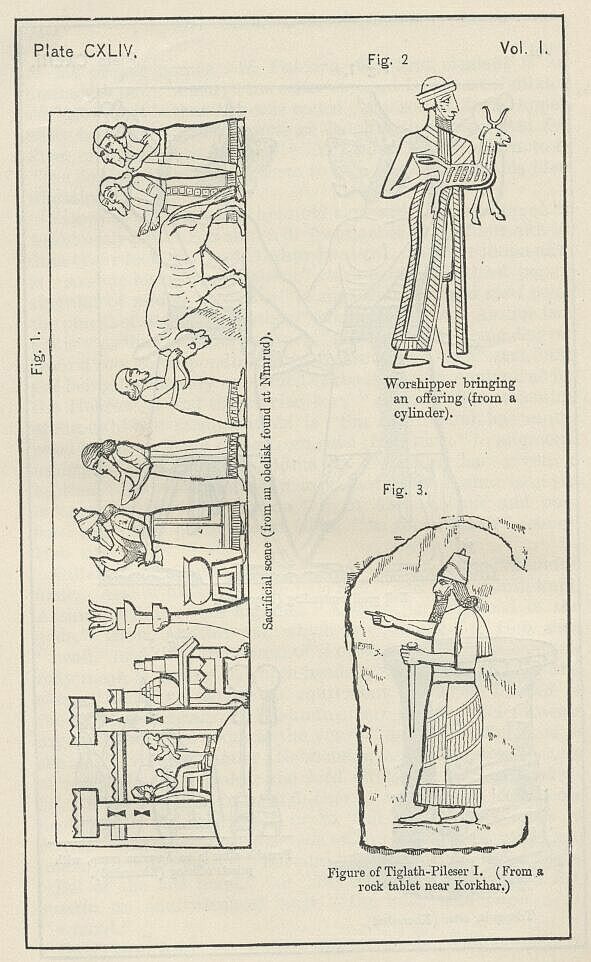 Plate 144 