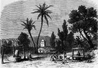 Djema-sahridj.