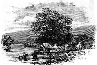 In The Vale Of Llangollen.
