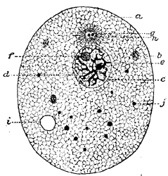 FIG. 23.