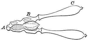 FIG. 101.—The nutcracker is a lever.