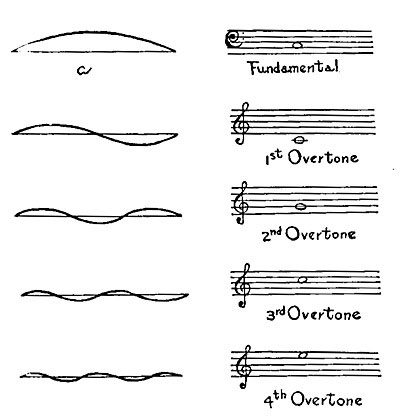 FIG. 185.—A string can vibrate in a number of different ways simultaneously, and can produce different notes simultaneously.