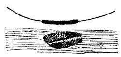 FIG. 210.—A wire carrying current attracts iron filings.