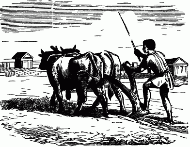 Ploughing