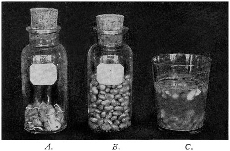 Fig. 37.