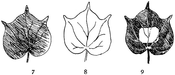 Fig. 63.