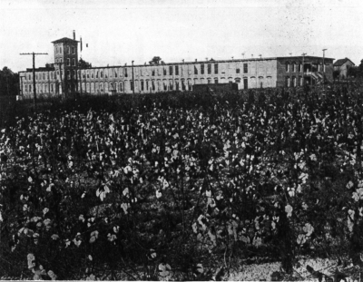 A Southern Cotton Mill in a Cotton Field